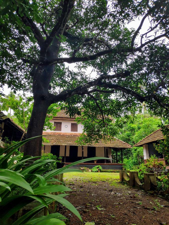 Meadows Villa Thrissur Luaran gambar